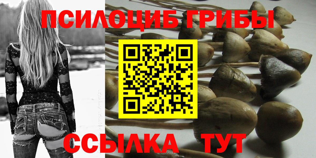 Галлюциногенные грибы Magic Shrooms  Псилоцибиновые грибы Cubensis  где найти   Кызыл  Вход с VPN 