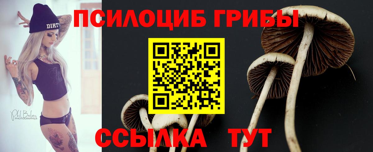Псилоцибиновые грибы мухоморы Кызыл